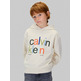 sweat-shirt garçon  calvin klein color logo graphic terry hoodi