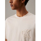t-shirt homme  calvin klein ck applique tee