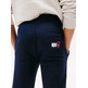 garçon tommy script flag sweatpant c1g