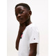 garçon tommy script flag print tee ss ybr