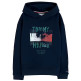 sweat-shirt garçon  tommy hilfiger flag grafitti hoodie