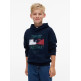 sweat-shirt garçon  tommy hilfiger flag grafitti hoodie