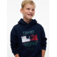 sweat-shirt garçon  tommy hilfiger flag grafitti hoodie