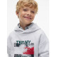 sweat-shirt garçon  tommy hilfiger flag grafitti hoodie