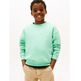 unisex mini corp c-neck sweatshirt l6z