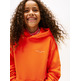 unisex mini corp hoodie xm2