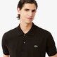 pôle homme lacoste chemise col bord-cotes manches