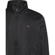 cazadora homme  calvin klein m ls padded harrington jacket