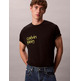 t-shirt homme  calvin klein m ss 20s io calvin klein circ