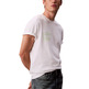 t-shirt homme  calvin klein m ss 20s io calvin klein circ