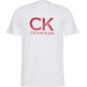 t-shirt homme  calvin klein m ss 30s eu ck calvin graphic
