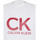 t-shirt homme  calvin klein m ss 30s eu ck calvin graphic