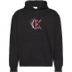 sweat-shirt homme  calvin klein m ls eu 350terry graphic hoodi