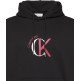 sweat-shirt homme  calvin klein m ls eu 350terry graphic hoodi