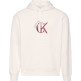 sweat-shirt homme  calvin klein m ls eu 350terry graphic hoodi