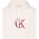 sweat-shirt homme  calvin klein m ls eu 350terry graphic hoodi