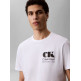 t-shirt homme  calvin klein m ss 30s eu ck resort graphic