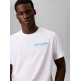 t-shirt homme  calvin klein m ss 20s calvin disc stack gra