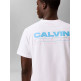 t-shirt homme  calvin klein m ss 20s calvin disc stack gra