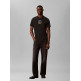 t-shirt homme  calvin klein ss 30s eu crest graphic tee
