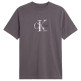 t-shirt homme  calvin klein ss 20s ez distressd mnlgo grap