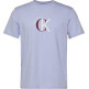 t-shirt homme  calvin klein m ss 30s whsl ckj 2tone ck gra