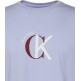 t-shirt homme  calvin klein m ss 30s whsl ckj 2tone ck gra