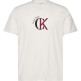 t-shirt homme  calvin klein m ss 30s whsl ckj 2tone ck gra