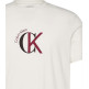 t-shirt homme  calvin klein m ss 30s whsl ckj 2tone ck gra