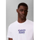 t-shirt homme  calvin klein m 30s eu wholesale jeans graph