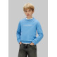 sweat-shirt   calvin klein u inst. logo regular cn