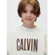 sweat-shirt garçon  calvin klein b calvin applique cn sweatshir