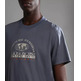 t-shirt homme  napapijri s-macas ss
