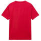t-shirt homme  napapijri salis