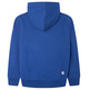 sweat-shirt garçon  pepe jeans georgie hoodie