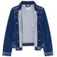 cazadora fille  pepe jeans new berry jacket jr