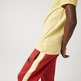 pôle slim fit en petit piqué uni homme lacoste