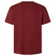 t-shirt homme  pepe jeans eggo n