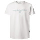 homme summer seasonal logo tee 800