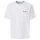 t-shirt homme  pepe jeans chelsea back tee