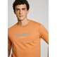t-shirt homme  pepe jeans eggo n