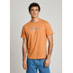 t-shirt homme  pepe jeans eggo n