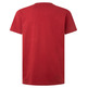 t-shirt homme  pepe jeans timotheo