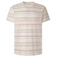 t-shirt homme  pepe jeans rick