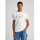 t-shirt homme  pepe jeans waddon