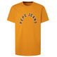 t-shirt homme  pepe jeans westend tee