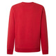 maillot homme  pepe jeans edward crew
