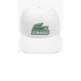 homme casquette 70v