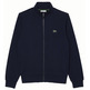 sweat-shirt homme  lacoste sweatshirt