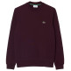 sweat-shirt homme  lacoste sweats